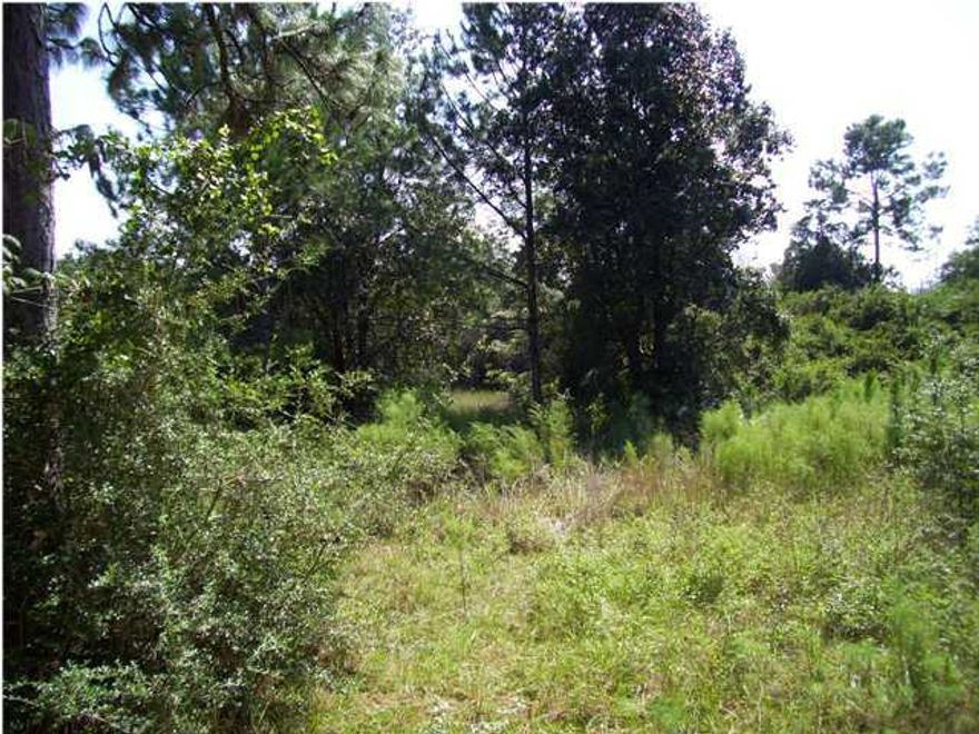 High and Dry acreage with no lowlands.  Paved Road less than 1/2 mile away.  Close to many of the areas freshwater lakes that are full of fish and only 5-minutes to Sunny Hills Golf Course.

Private and quiet.  This is the best priced 10-Acre parcel for sale in South Washington County.  The owner has just lowered the price again and wants it sold.  Go take a look before you get serious on anything else.

DOLLAR CONVERSION:

OWNER WILL ENTERTAIN OWNER FIANANCING