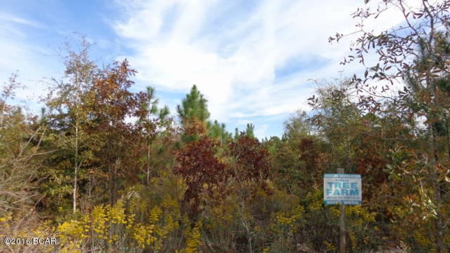 25 acres planted in Longleaf pines. Active spring on property in the SW corner off of Lily Ct. Close drive to both Hwy 167 & Hwy 231. Additional properties available for sale, see MLS 641114, 641115. Great investment & hunting property or use as residential. Close to Compass Lake public boat ramp for fishing & boating. This property has access from 4 roads.