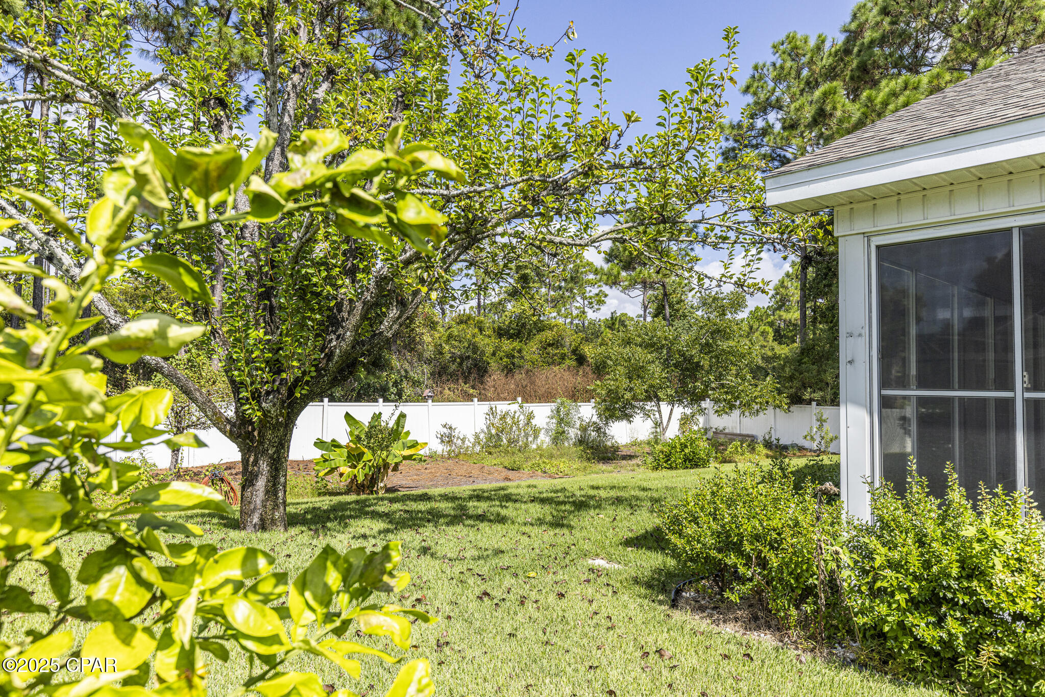 Palmetto Trace - Residential