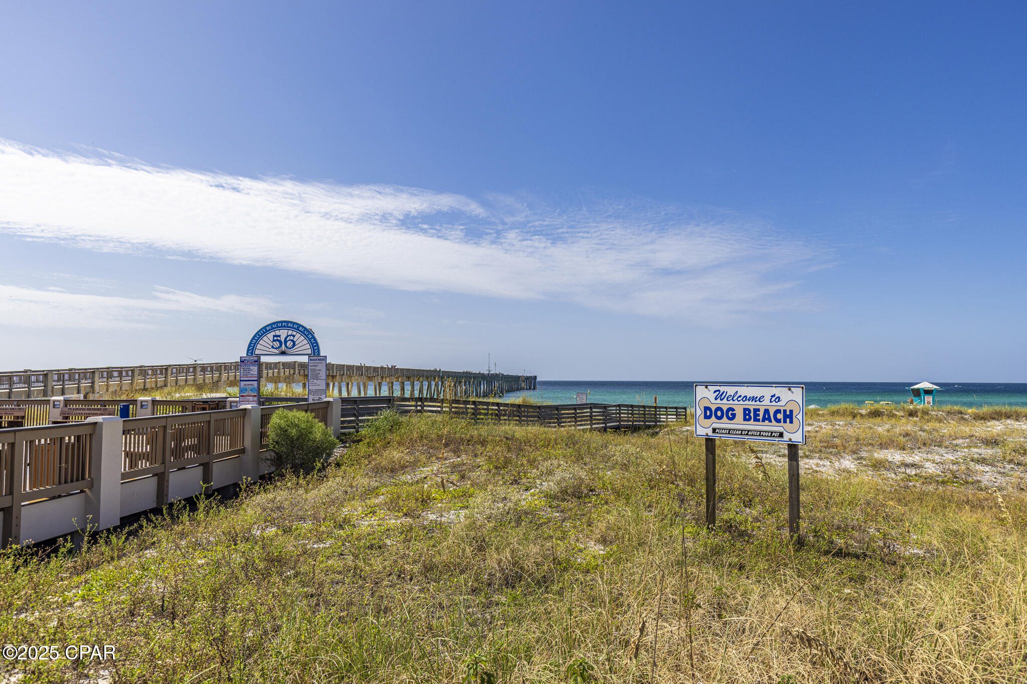 Palmetto Trace - Residential