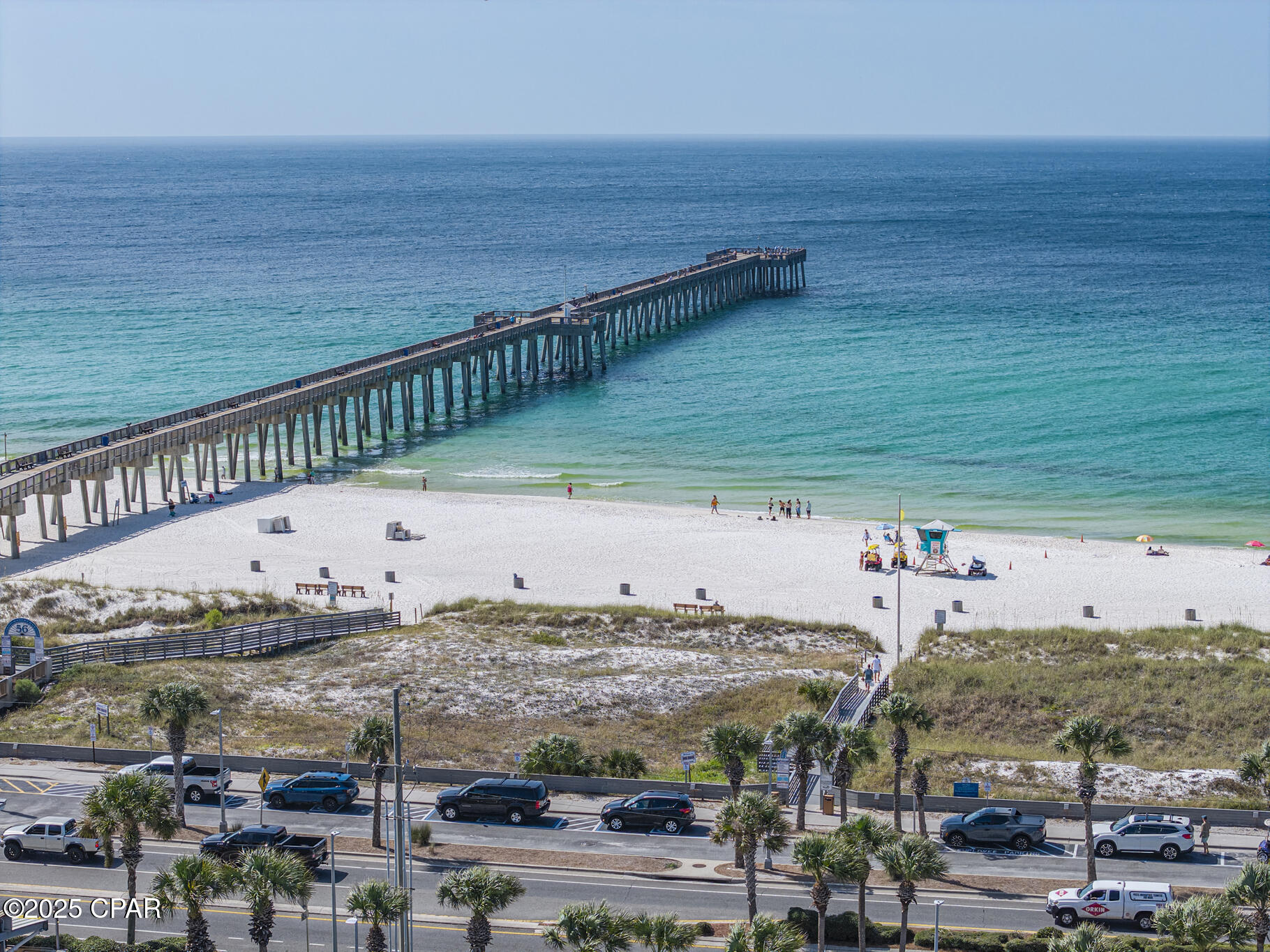 Palmetto Trace - Residential