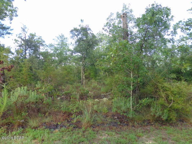 Leisure Lakes - Land