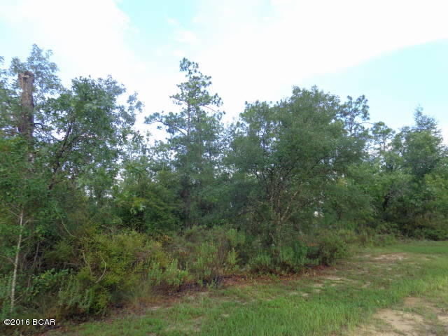 Leisure Lakes - Land