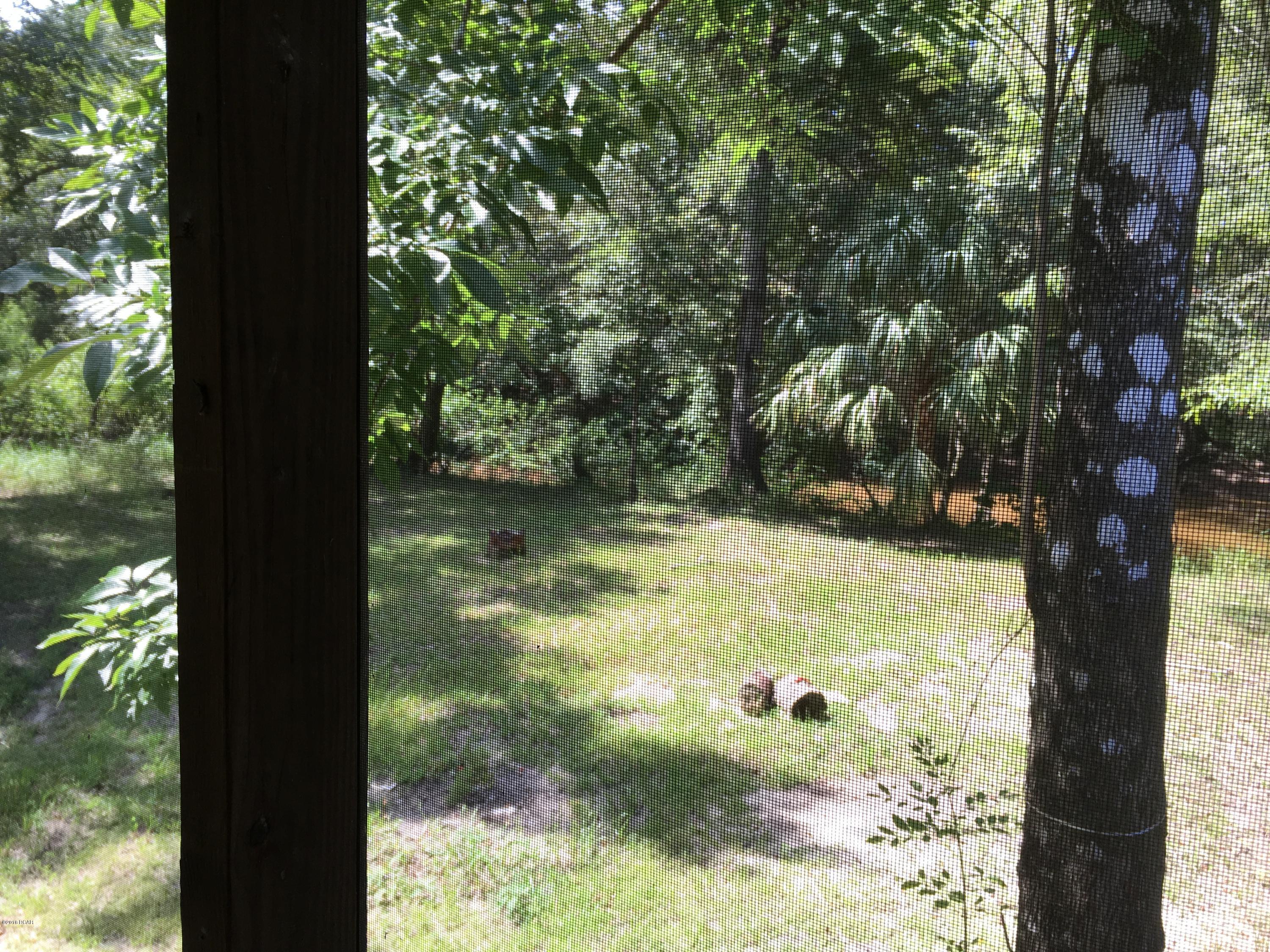 Red Bull Island - Residential