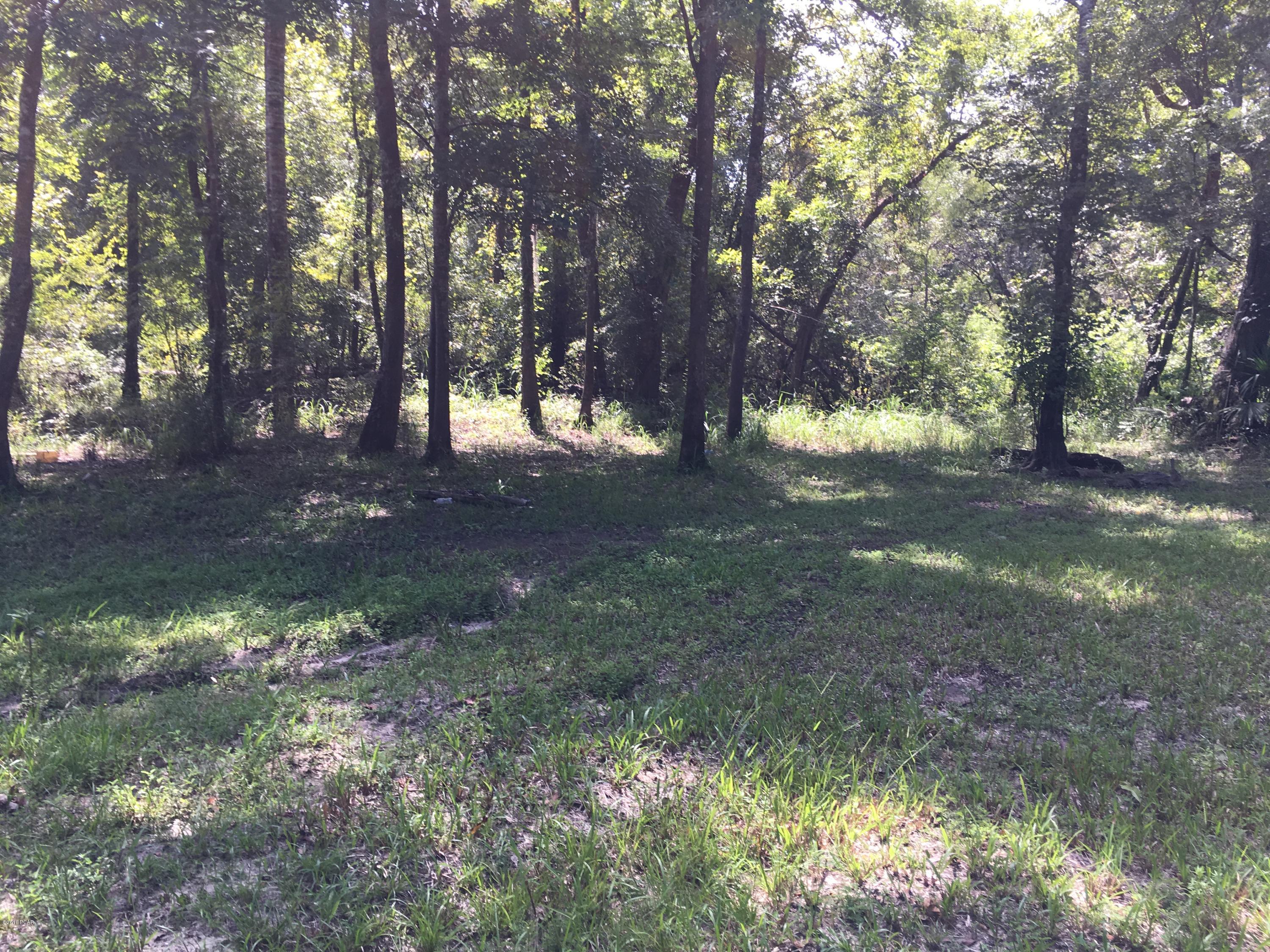 Red Bull Island - Residential