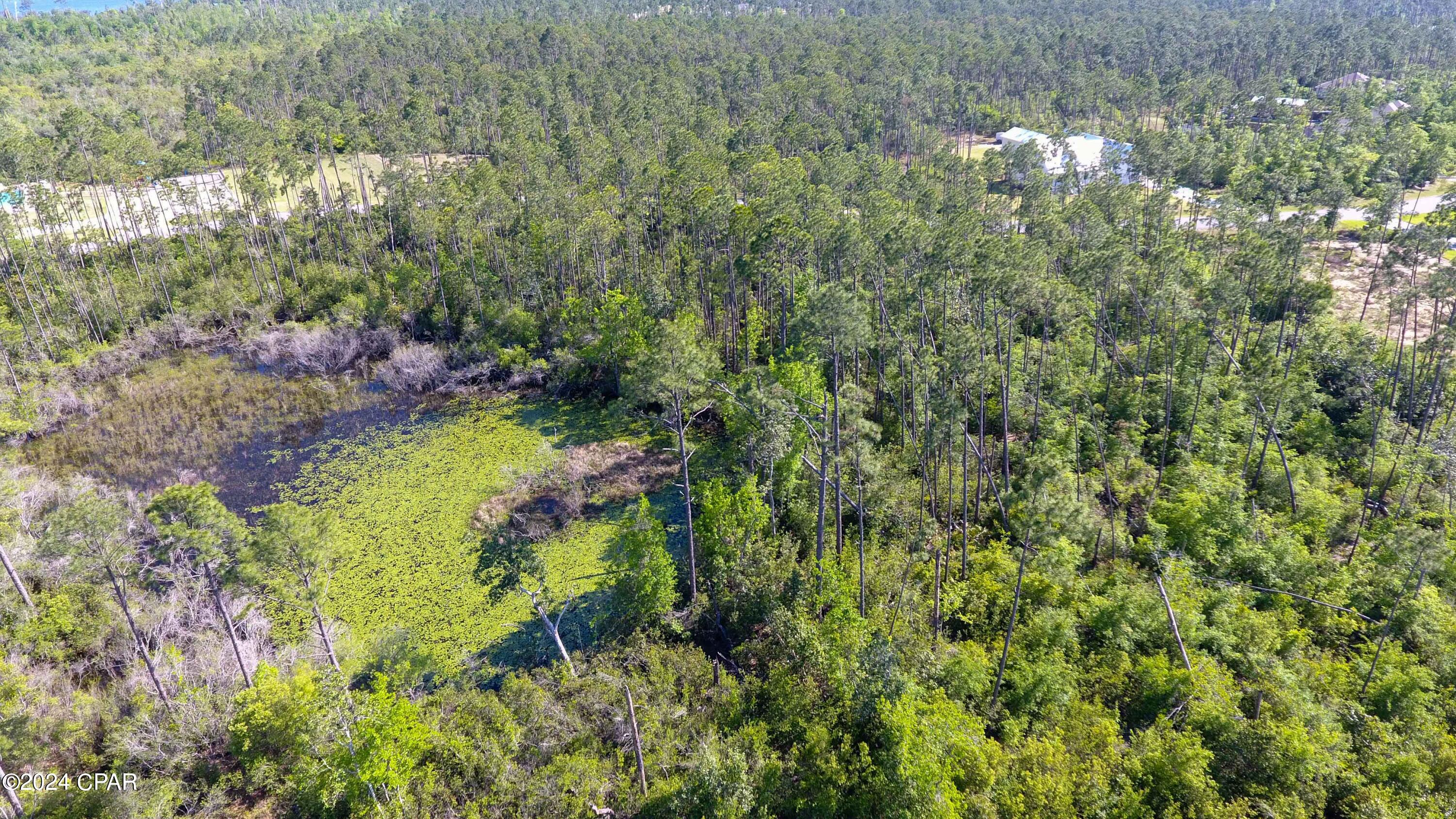 Cedar Creek At Deerpoint Lake - Land