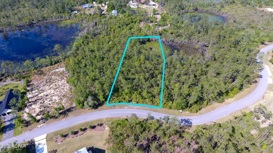 This lot is ideal for constructing the dream home you've always desired! Located in the Cedar Creek at Deerpoint Lake Subdivision, a gated community with a host of amenities including a pool, clubhouse, playground, common dock, and picnic area. It's a truly hidden gem among neighborhoods.