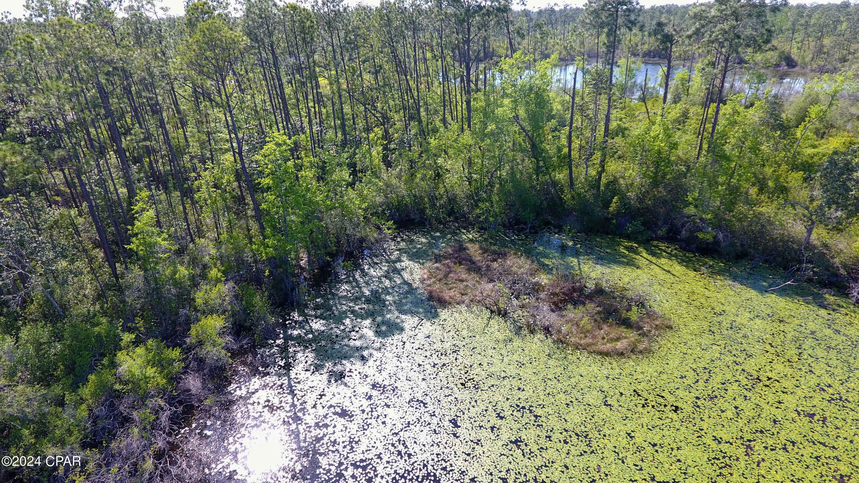 Cedar Creek At Deerpoint Lake - Land