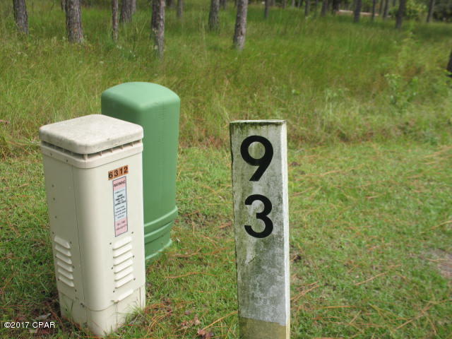 Rivercamps On Crooked Creek Ph 2 - Land