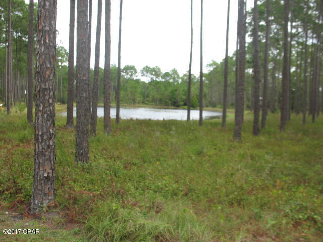 Rivercamps On Crooked Creek Ph 2 - Land