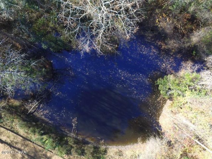 Own almost 7 acres of beautiful cleared acreage with a pond less than a couple of minutes from town center.  Most of the land is cleared and ready to build on with some pecan tress scattered on property and a nice pond on the south east corner with trees surrounding it.  It is hard to find property that has all this to offer at this price - mostly cleared, level, paved road frontage, close to town and with a nice pond.