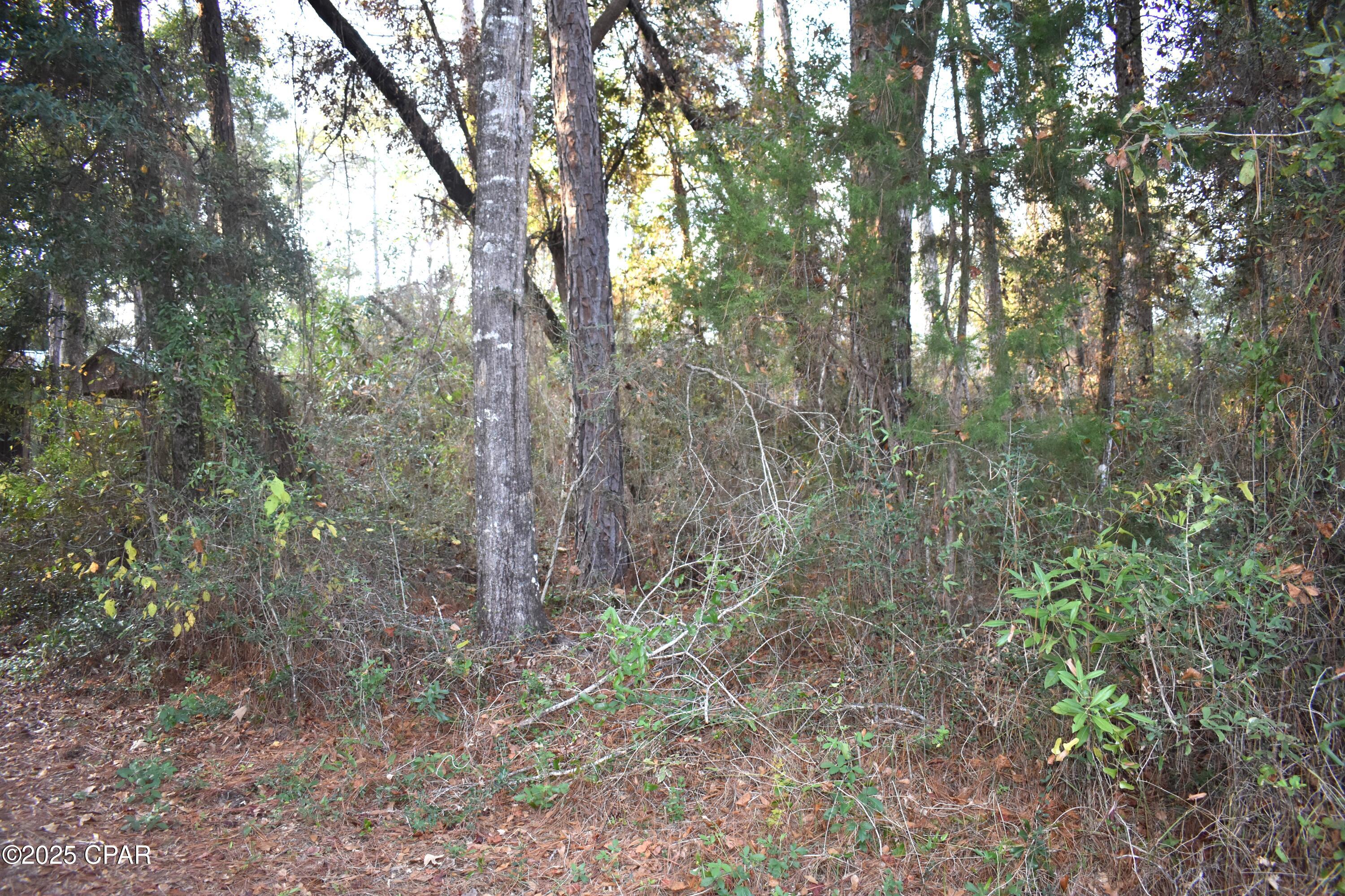 Cypress Cove Minor - Residential