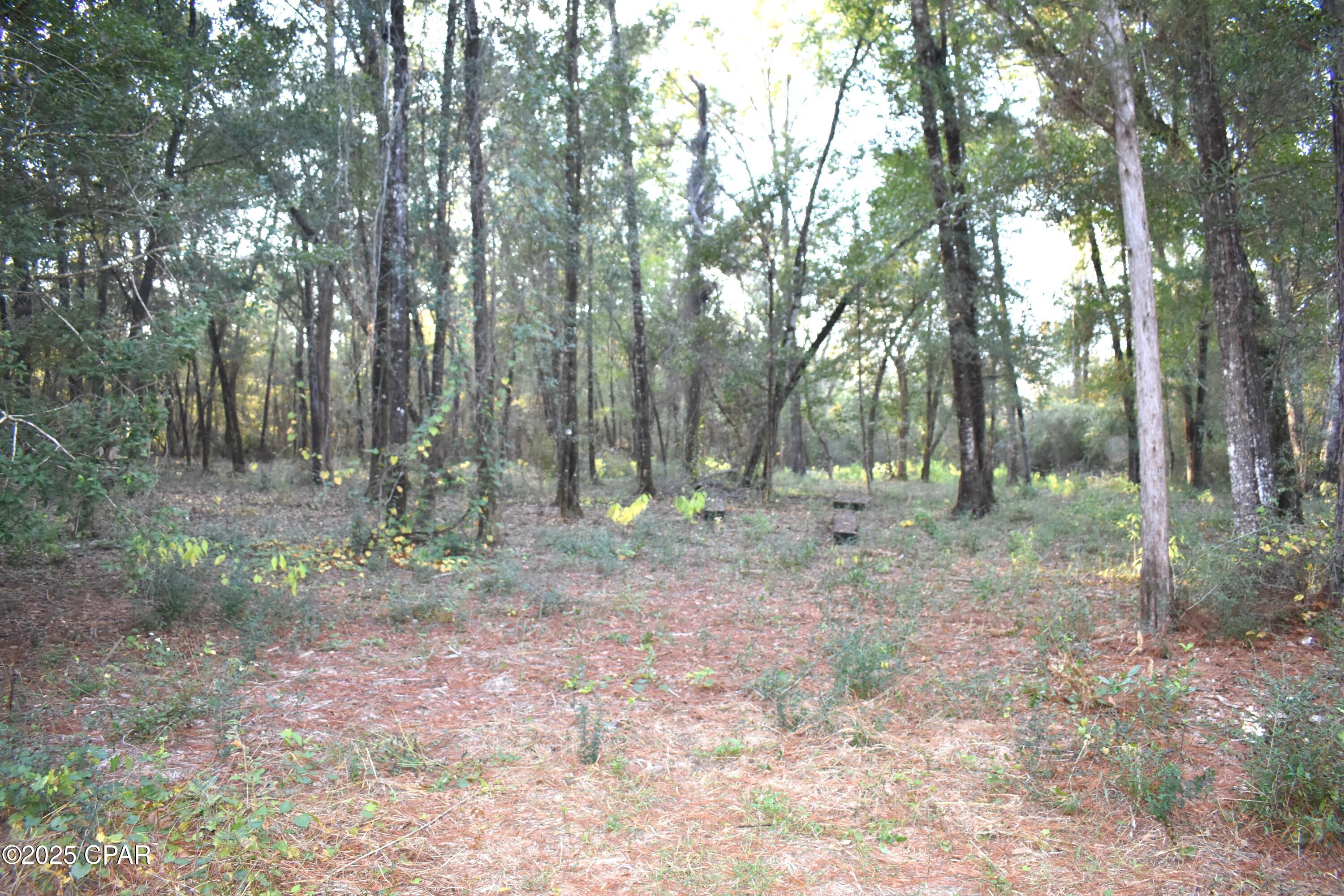 Cypress Cove Minor - Residential