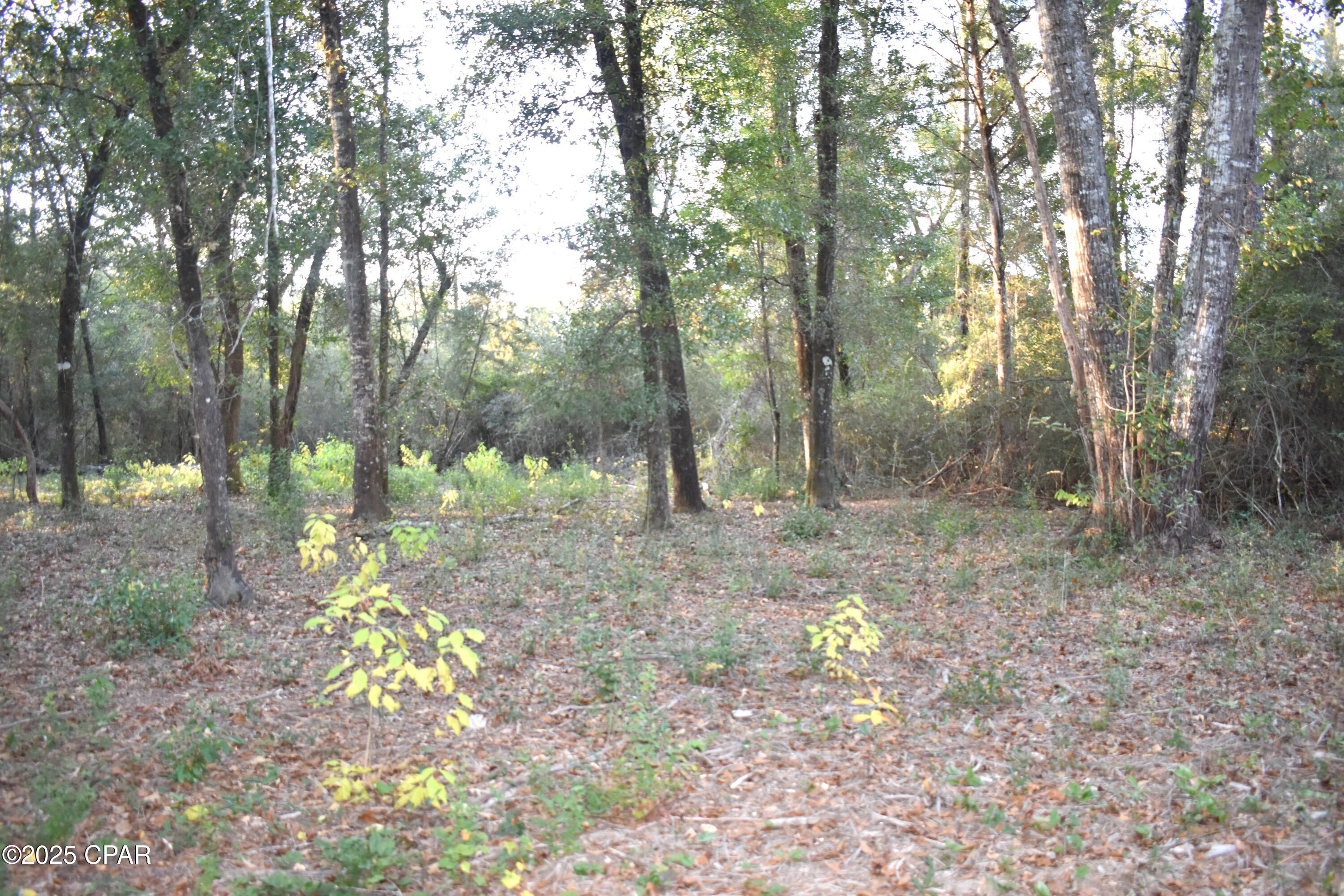 Cypress Cove Minor - Residential