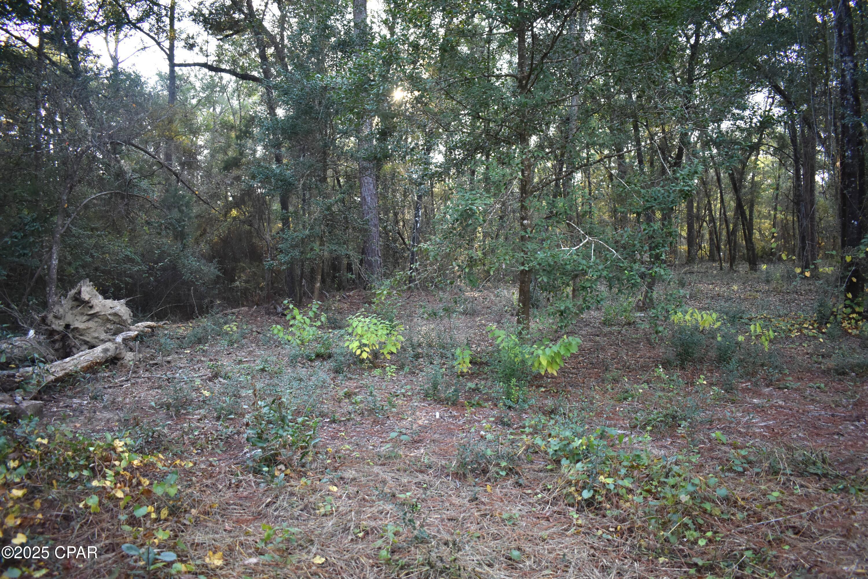 Cypress Cove Minor - Residential