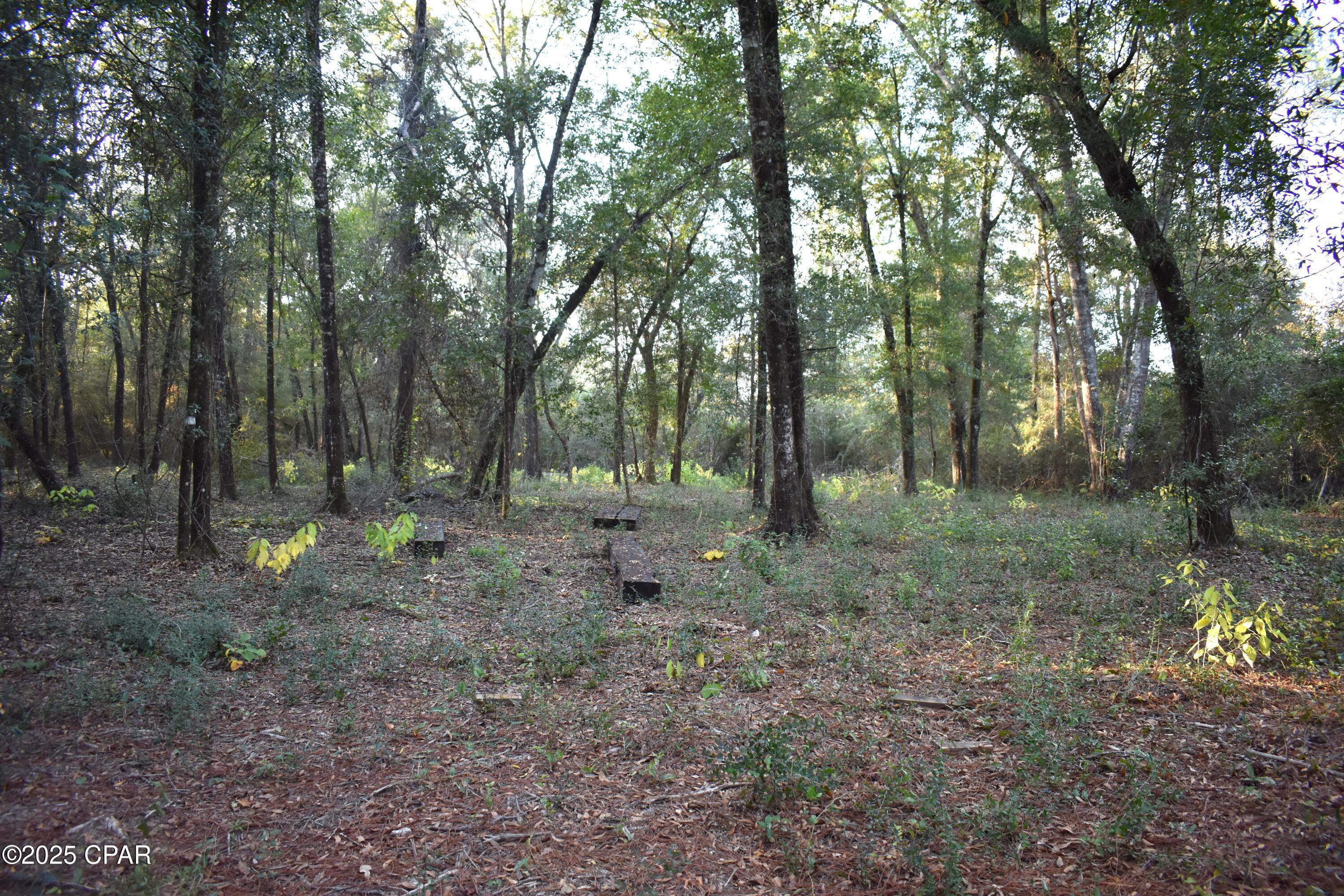 Cypress Cove Minor - Residential