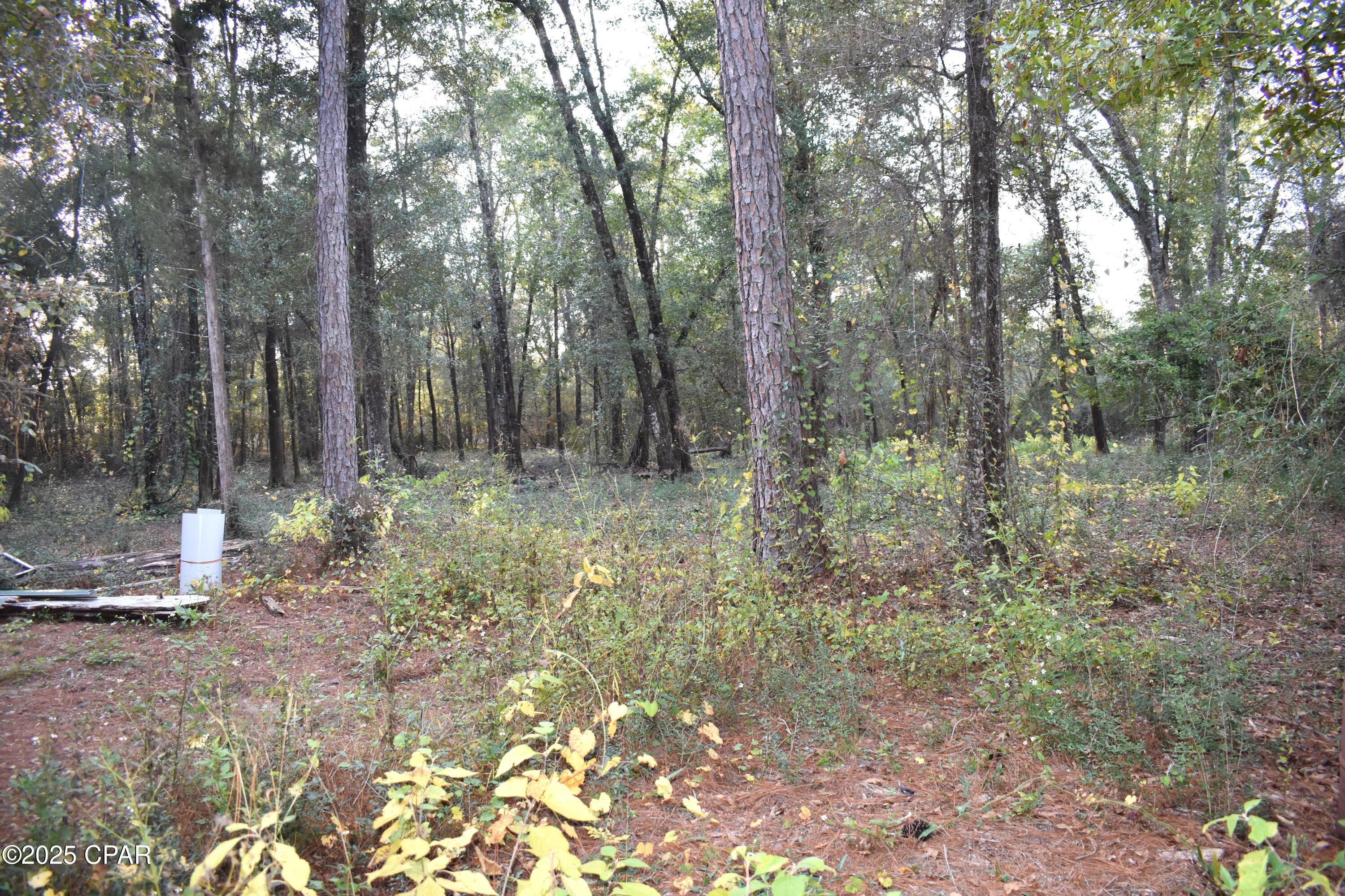 Cypress Cove Minor - Residential