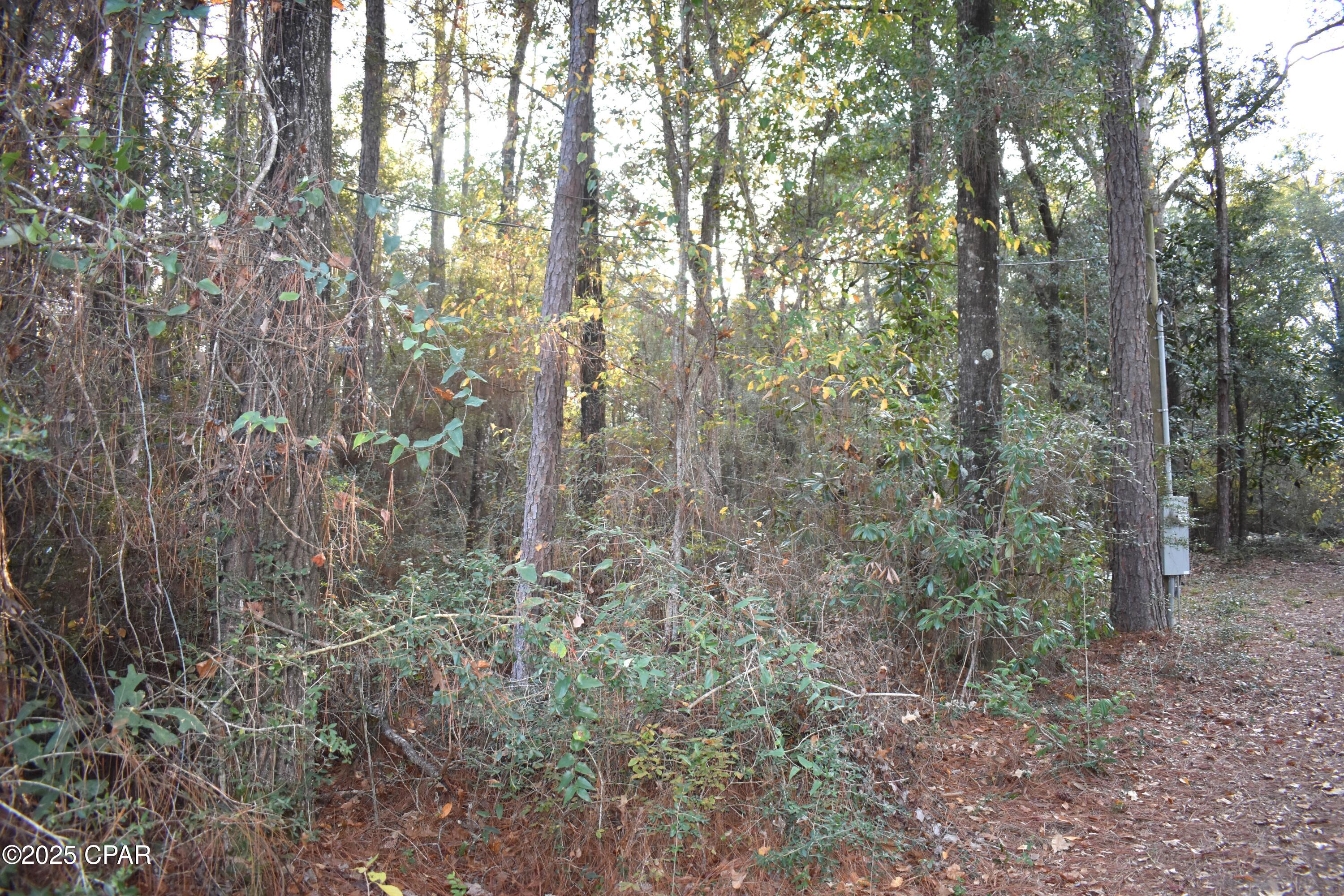 Cypress Cove Minor - Residential