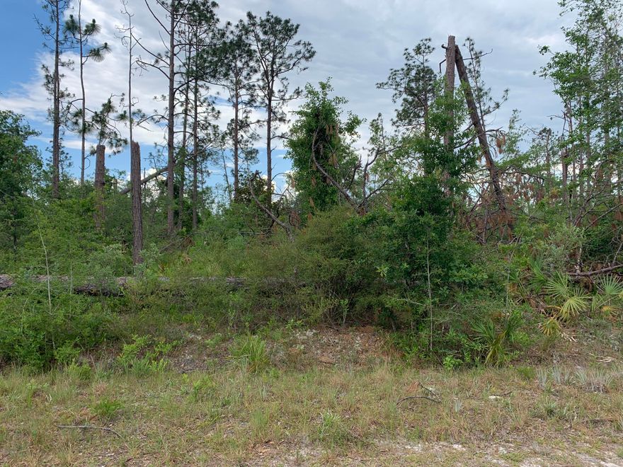 Nice piece of property to build your dream home on. =40 mins to the beach 20 is to the mall and the Northwest Florida Airport.  There is an old septic on property not sure if in working order