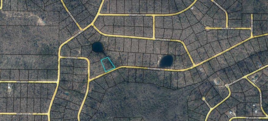 Nice acre and a quarter building lot in Compass Lake in the Hills. Here you will have access to all that Compass Lake community has to offer. In this subdivision there are rental cabins, duplex, 6 RV sites, tent sites, boat ramps, docks, clubhouse, pavilions, swimming area, concessions, swimming pool, restaurant, disc golf, and driving rang. Fishing boats, fishing kayaks, and funyaks are also available for rent. This area is a great opportunity to build and relax and reconnect with nature and the great outdoors. Deed restrictions, no mobile homes allowed. Buyer to pay for title policy and associated title fees.