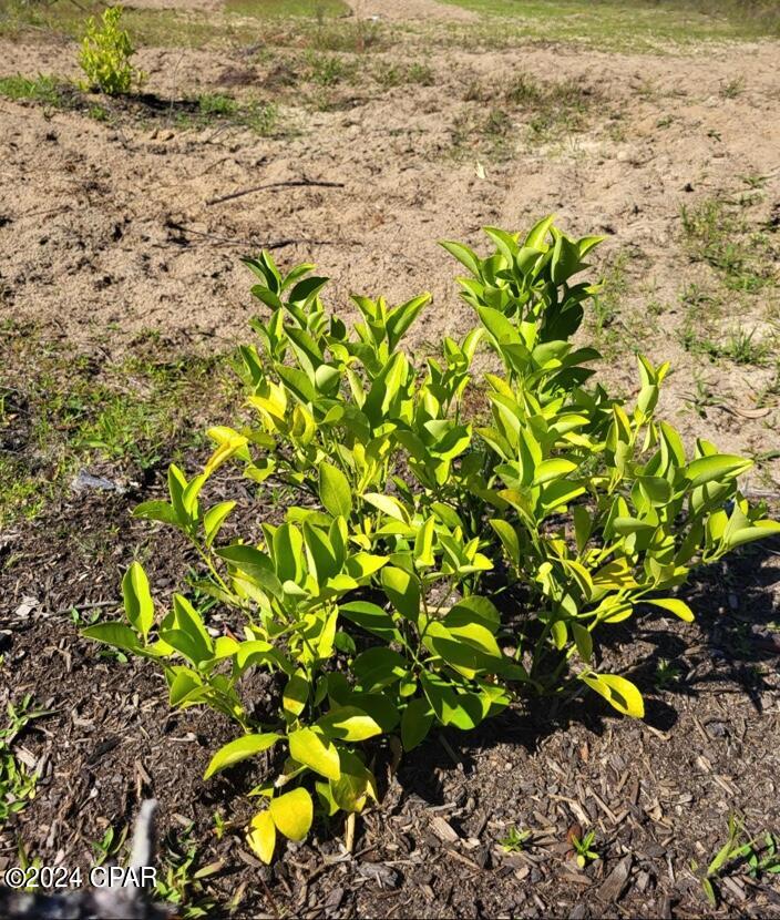 No Named Subdivision - Land