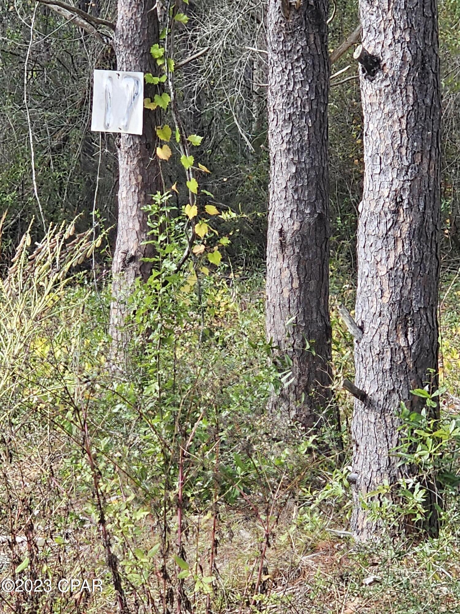 [No Recorded Subdiv] - Land