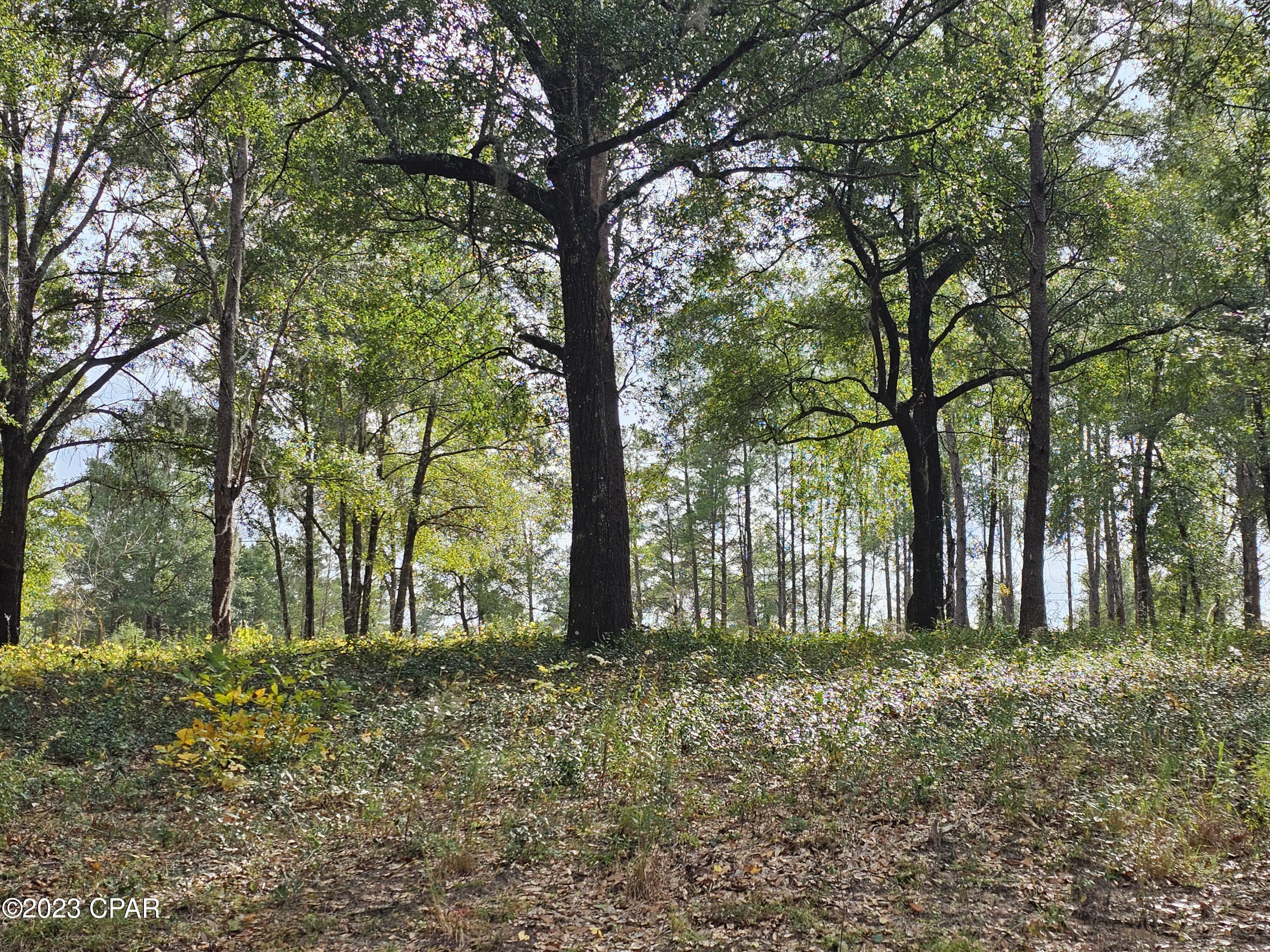 [No Recorded Subdiv] - Land