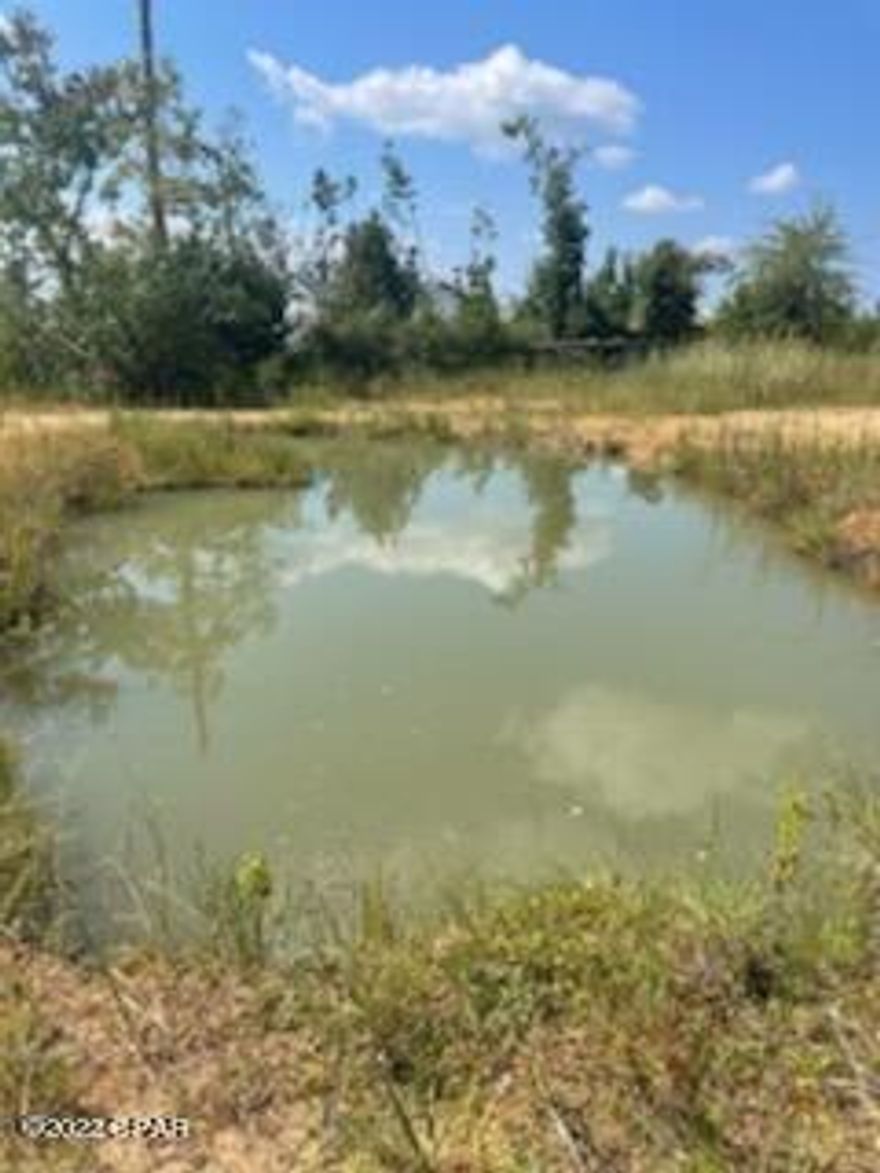 ''UNDER CONTRACT-TAKING BACKUPS'' This vacant land has everything you need! BEAUTIFUL 1 acre lot approximately 30 minutes from beautiful Panama City Beaches and approximately 40 minutes from Mexico Beach.  This property is equipped with all utilities: septic, new well, and electricity. This cleared lot also has a pond that has been dug.