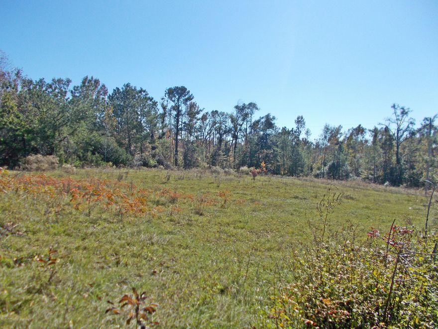 Very nice parcel of land in the country with a well and septic tank, and a small natural pond on it, there is an old mobile home on it that was damaged badly from Hurricane Michael that is of no value. All just minutes from Interstate 10 exit and the town of Grand Ridge.
