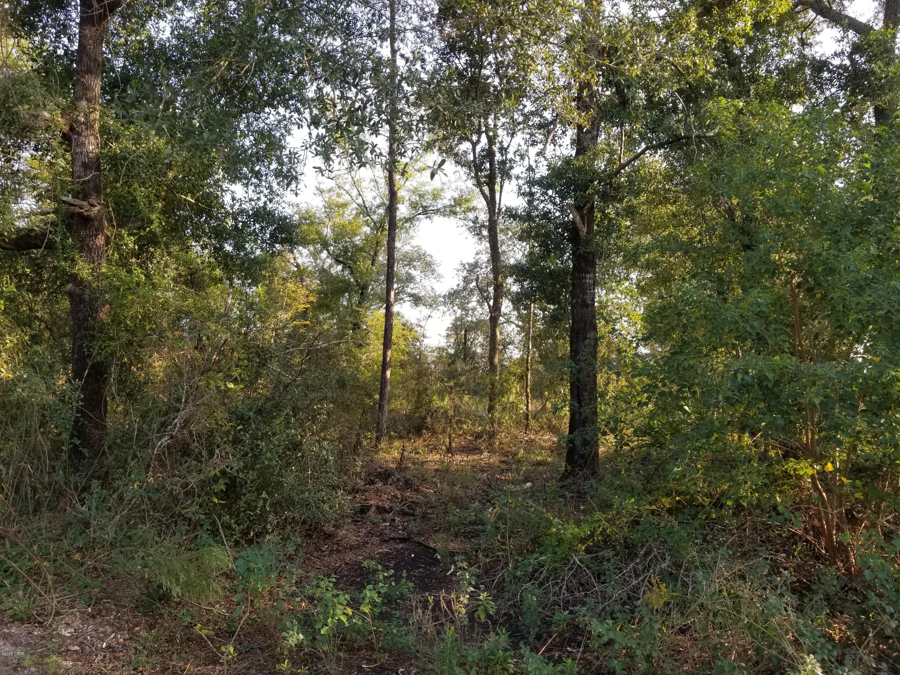 Leisure Lakes - Land