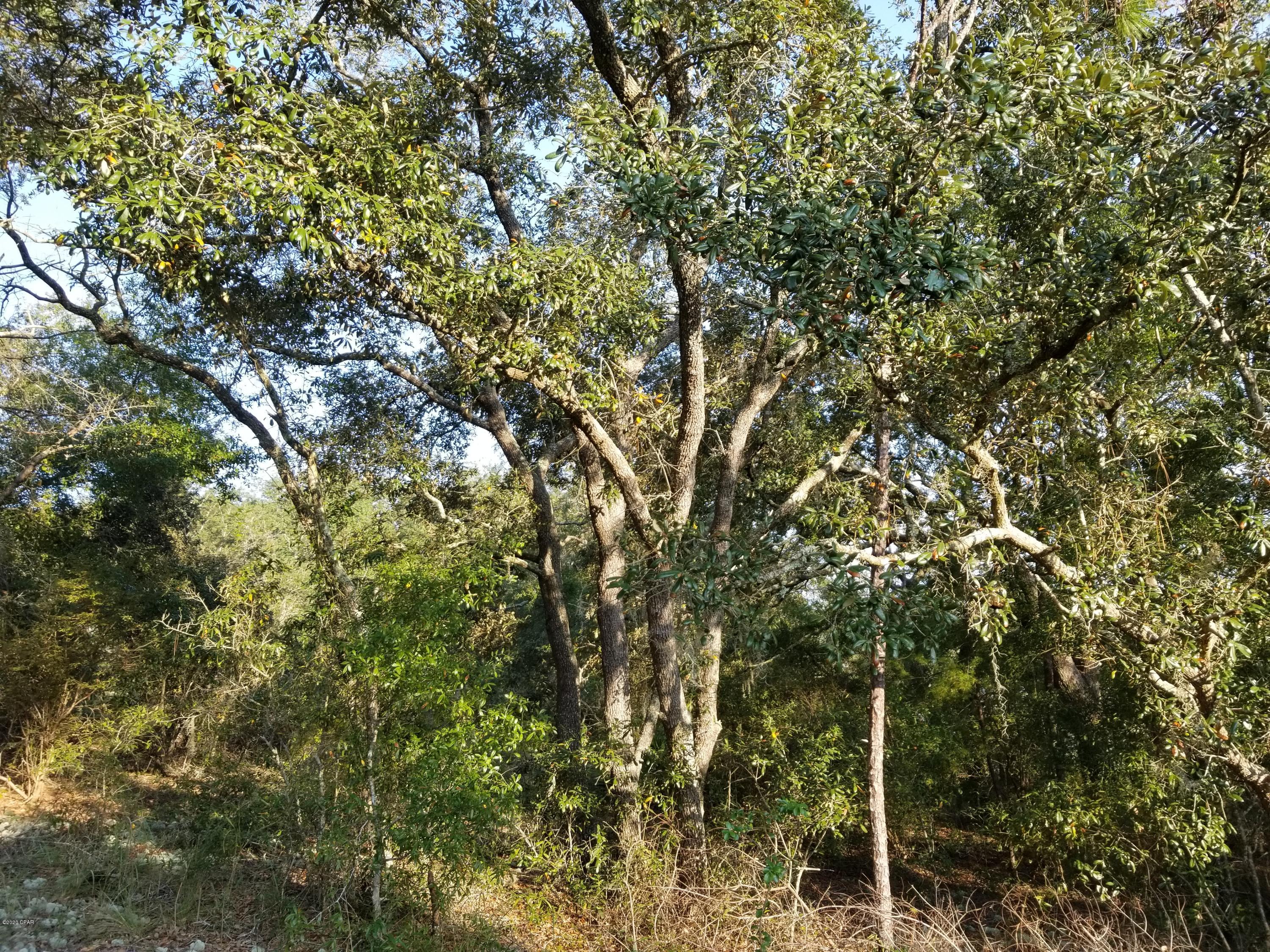 Leisure Lakes - Land