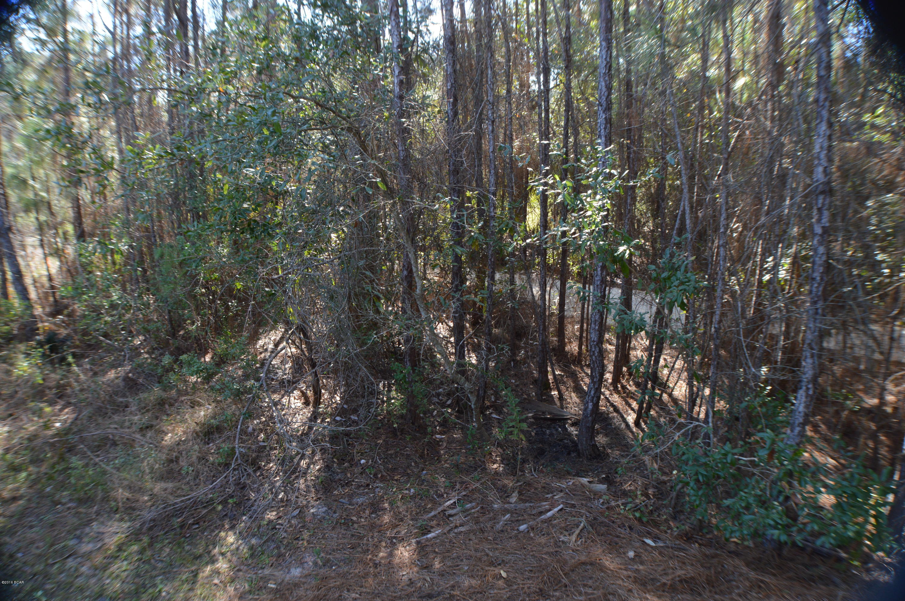 Martinique Phase II - Residential