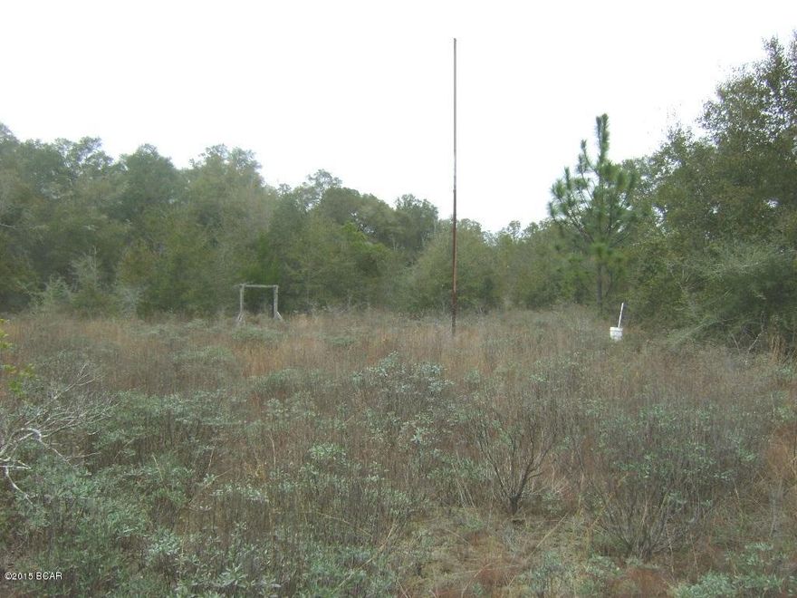 :10 ACRES (660x660)  EXCELLENT PRICE ON THIS SPACIOUS HIGH., DRY, AND LEVEL PROPERTY WITH AN OLDER MOBILE HOME ON SITE - BUT, OF LITTLE TO NO VALUE. PROPERTY IS FENCED AND PARTIALLY CLEARED.  PROPERTY IS JUST DOWN FROM DEEP SPRINGS CANYON PARK - A VERY PRETTY RECREATIONAL AREA. PROPERTY HAS 660' FRONTAGE ON NONAWOOD ROAD, HOWEVER, THERE IS ALSO AN ACCESS OFF DEEP SPRINGS .  BIG OAK TREES ON BACK PORTION OF TRACT WHERE MOBILE HOME LOCATED - THE FRONT IS MOSTLY CLEARED PASTURE/YARD AREA. A GREAT BUY FOR THIS LAND WITH IMPROVEMENTS.