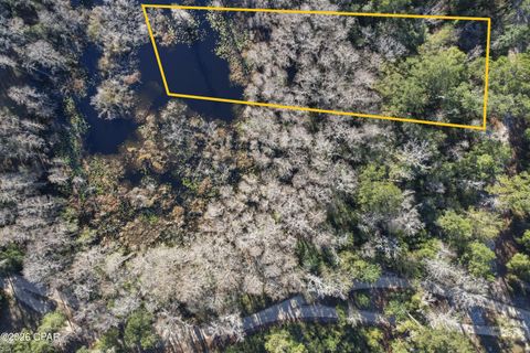 000 Lot 2 Cypress Chipley FL 32428