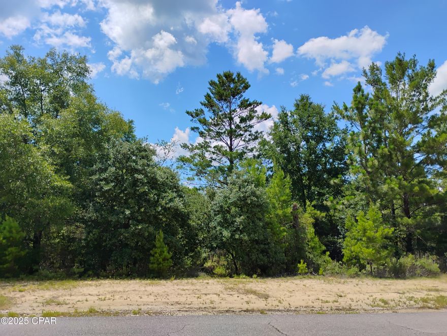 Oversized vacant Lot in Sunny Hills - Build Your Dream Home Today on over 1/3 acre! Take advantage of this prime opportunity to own a vacant building lot in the beautiful community of Sunny Hills! Located in a peaceful, up-and-coming area between Chipley and Panama City, this lot is ideal for building your forever home or investment property. Community Features: Access to multiple lakes, ponds, and nature trails Sunny Hills Golf Club and Boat Lake Swim Park just minutes away Paved roads and nearby utilities (verify availability) No HOA fees (buyer to confirm) Location Highlights: Just 30 minutes from Panama City and Chipley Shopping, restaurants, and healthcare within access via nearby Highway 77 Easy drive to the stunning white-sand beaches of the Gulf Coast Whether you're ready to build now or looking for a smart investment, this lot is a must-see. Don't miss your chance to be part of this growing Florida community!