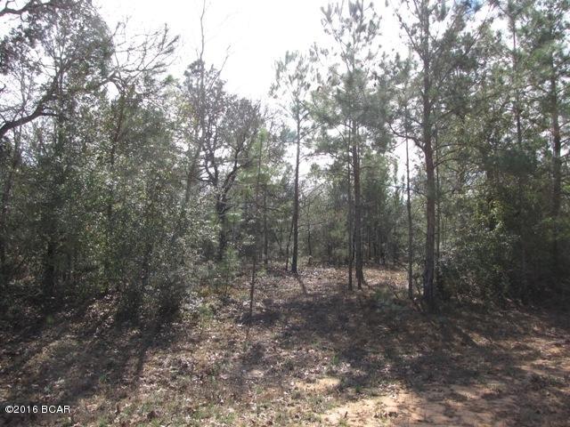 Compass Lake In The Hills - Land