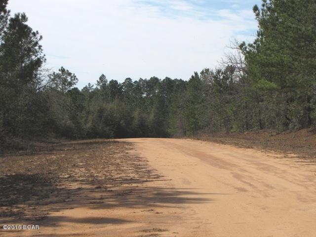 Compass Lake In The Hills - Land