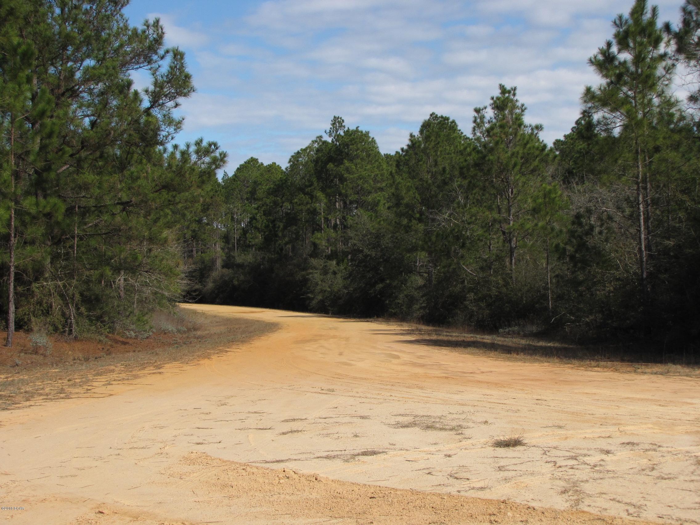 Compass Lake In The Hills - Land