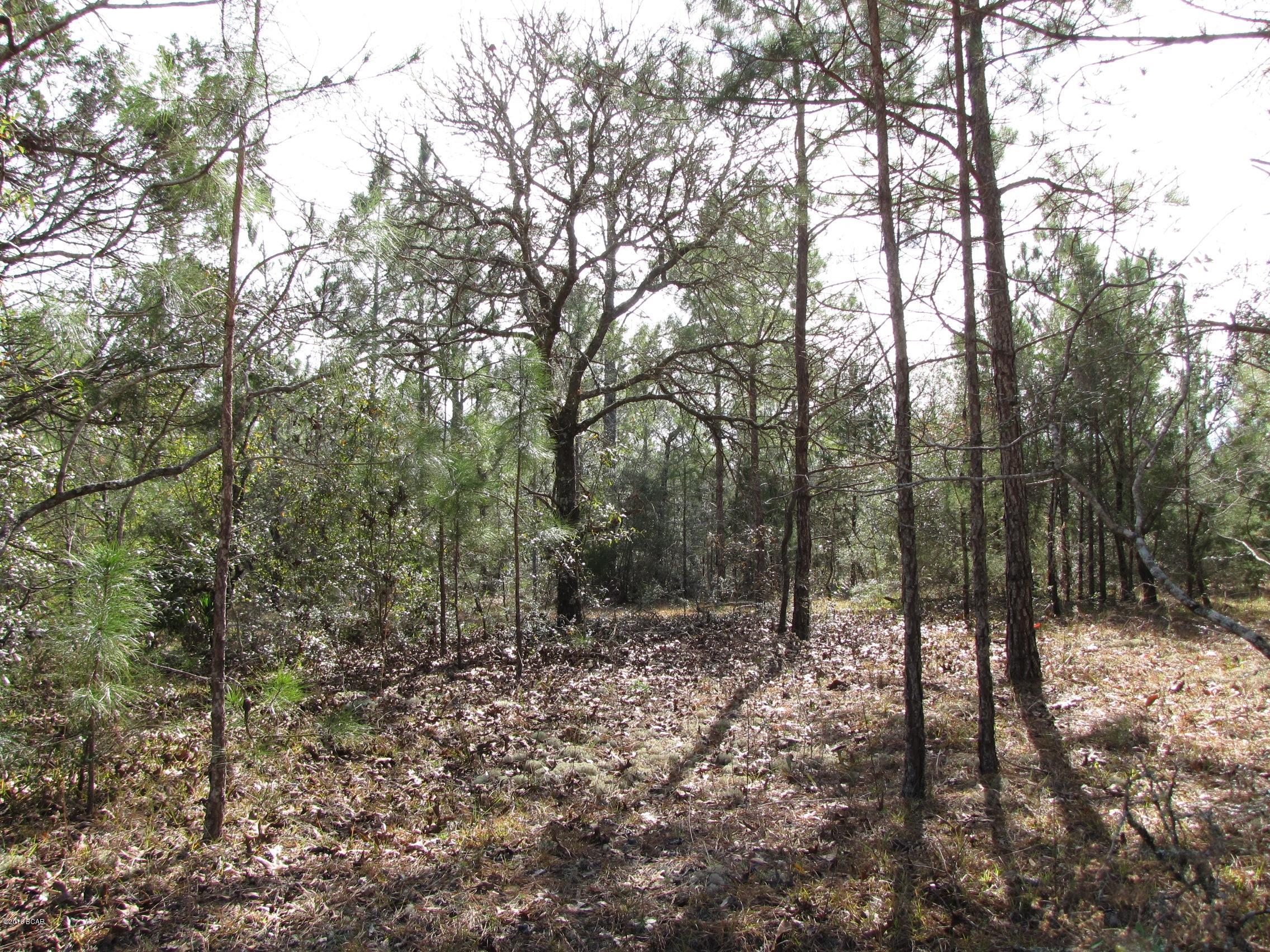 Compass Lake In The Hills - Land