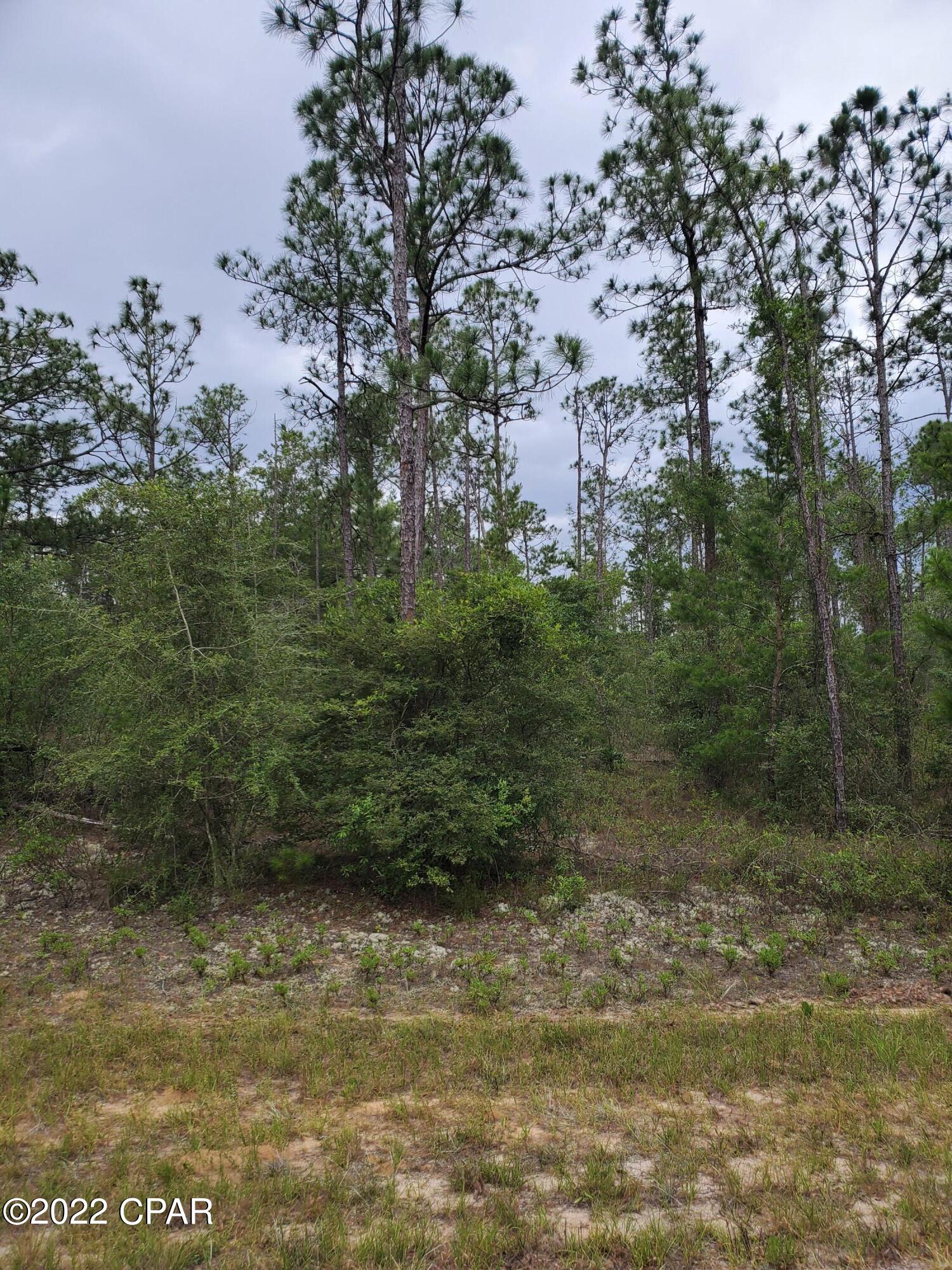 Sunny Hills Unit 1 - Land