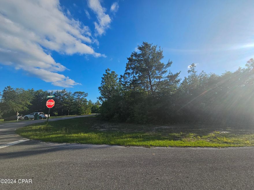 MOTIVATED SELLER! BRING ALL OFFERS! Fantastic LARGE build-able CORNER lot on 0.31 acre in HOT Sunny Hills! Decently paved road, better than most. Also in Unit 19, one of the most desirable units in SH. Get in while the getting's still great! I'm told this lot has public water available. Sunny Hills is growing and values will continue to go up. I don't believe you can get land as cheap anywhere else in the country. Hwy 77 is nearly finished being 4-laned from I-10 to PC. You're 30 min. from the air port, 20 from Chipley, near so many fishing lakes, ponds, and recreational springs. Right here in SH, we have a popular golf course, skate park, and Boat Lake Swimming & Recreation park.You'll be 40 minutes from Pier Park in PCB, not to mention the beautiful white sand beaches and emerald green waters of the Gulf. Drive by and call your favorite Realtor to make an offer Right Now! ** NOTE: Seller has two other very nearby great lots also for sale. See MLS #757406 and #757409.