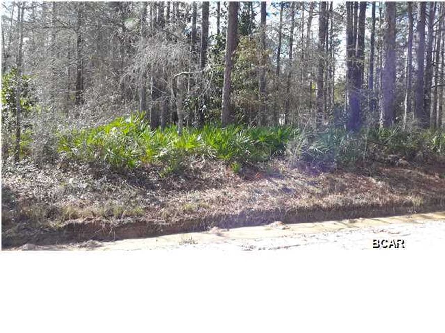 New on the market! Nice lot in Fountain just of Hwy 231. It is a double lot making it 100 wide and 135 deep. Priced to sell.