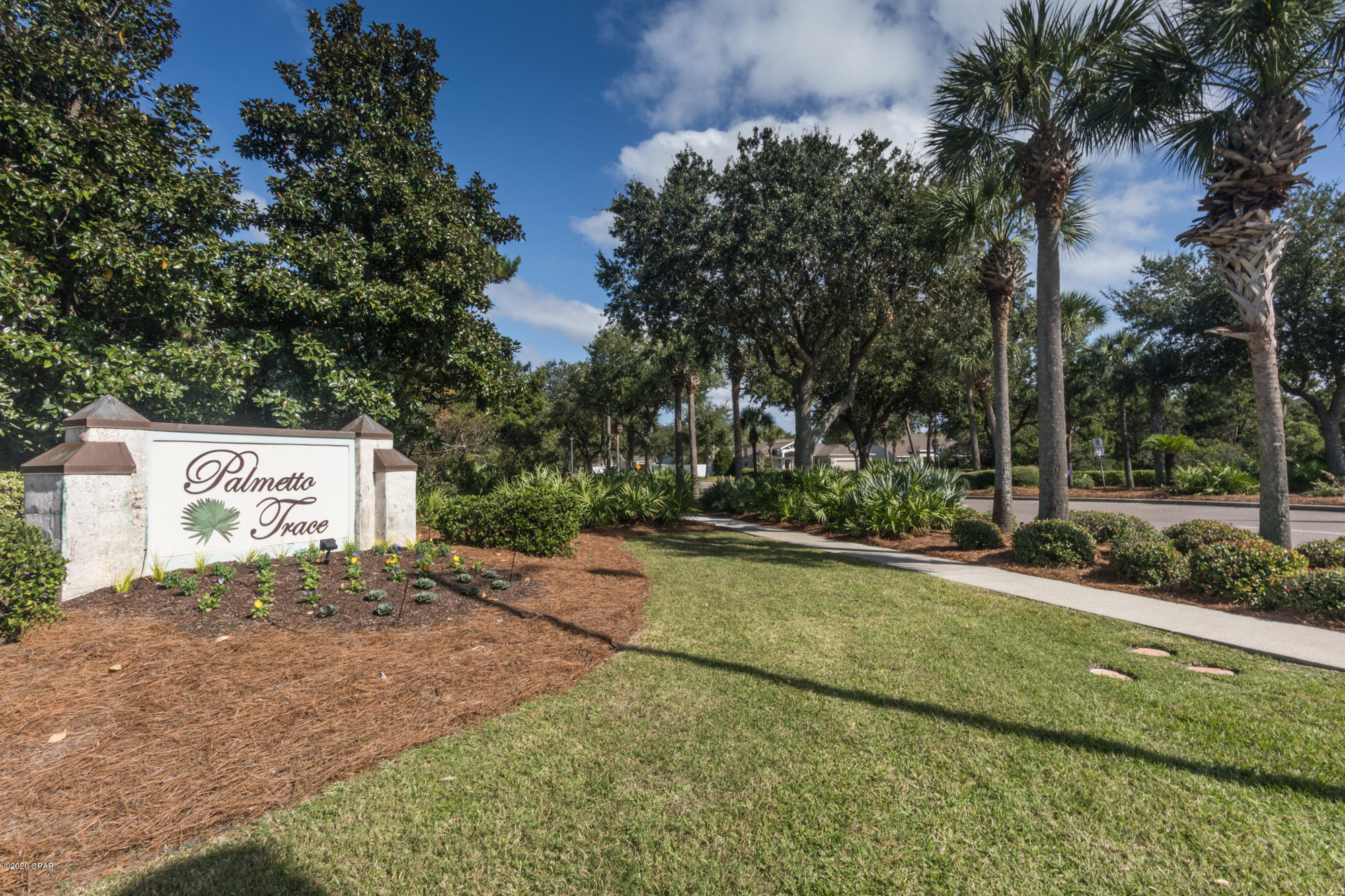 Palmetto Trace - Residential