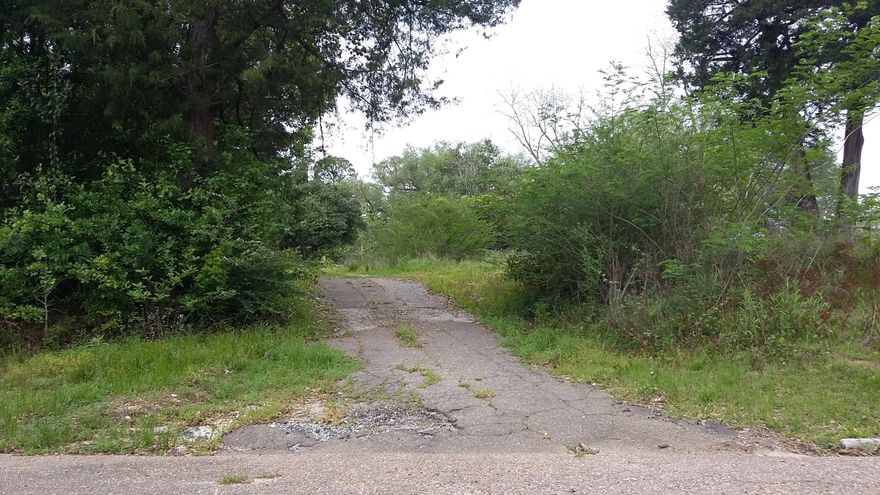 OWNER FINANCING on 1 Acre in Bonifay City Limits on paved street. Beautiful high & dry lot with established grass, pecan trees, and crepe myrtles. Older, paved driveway in place for access. Nice spot to build your dream home and raise a family. Newer mobile homes okay. Convenient to shopping, schools, grocery store, Post Office, and rec center. (Listing agent related to seller)