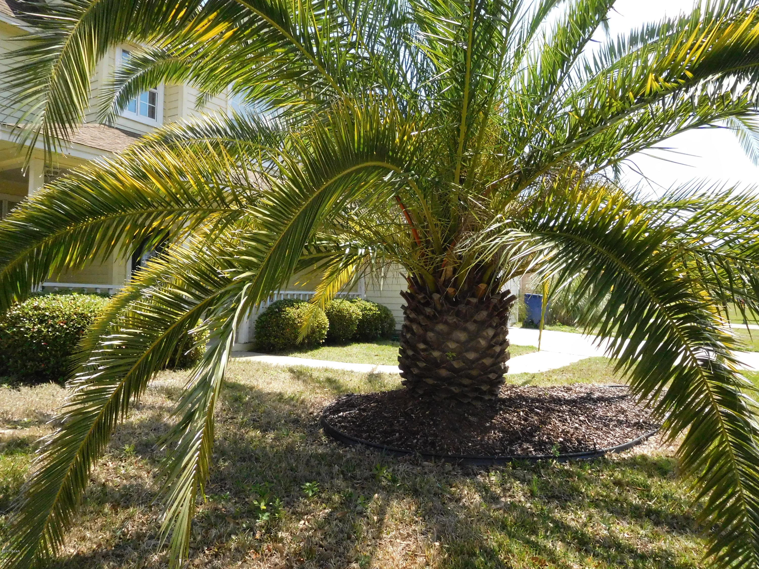 Forest Park East U-3 - Residential