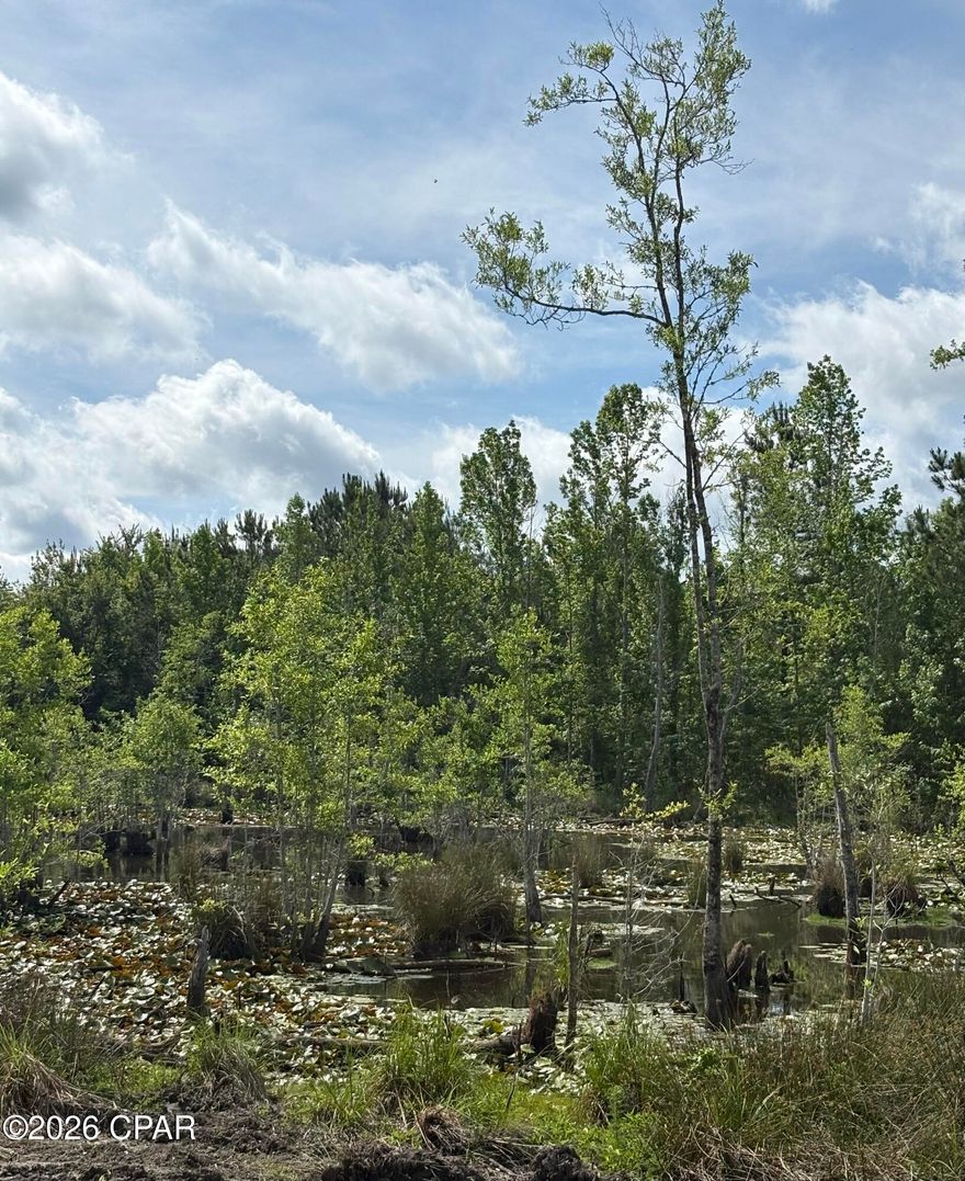 24.35 acres of beautiful North Florida land with the hard work already started for you. This property features a newly cleared driveway leading into approximately 4 acres of freshly cleared ground, making it an ideal setup for a future homesite, barndominium, weekend retreat, or recreational getaway.



One of the standout features is the estimated 5-acre pond offering incredible views, fishing potential, and a peaceful setting right in the middle of the property. The back side of the land borders Tenmile Creek, adding even more character and privacy to this rare tract.



With a great mix of open space, water features, and natural wooded surroundings, this property offers endless possibilities whether you're looking to build, hunt, fish, ride trails, or simply enjoy your own private escape.



If you've been searching for land with real improvements already in place and unique features that are hard to find, this one deserves a look.
