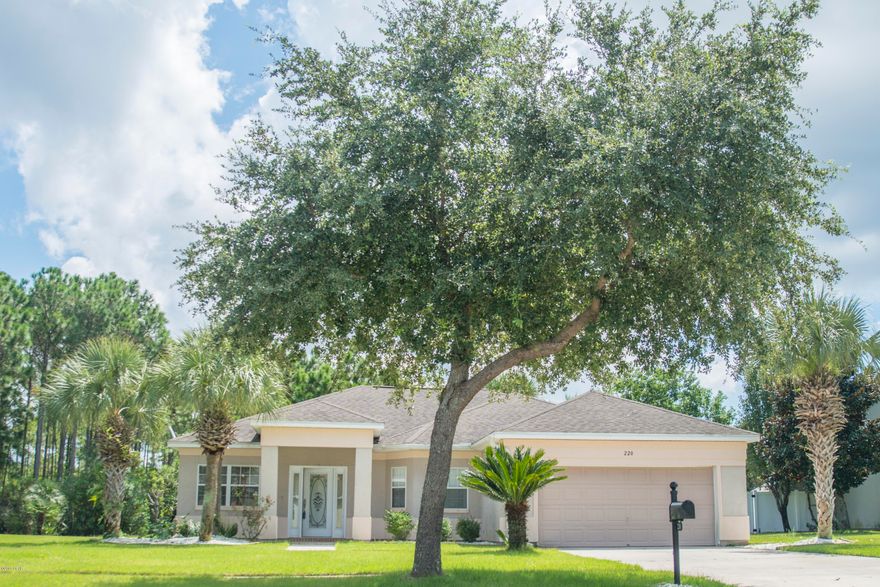 Fabulous Palmetto Trace! Great Buy, and Location! This 3 bedroom, 2 bath, home is loaded with many special features including: Travertine style tile throughout all rooms except the bedrooms, gas fireplace in family room, decor painted trey ceiling in formal dining area, stainless appliances including side by side fridge with ice & water on the door, plus situated on a private lot on low traffic street! Palmetto Trace is a Dream Community, located .7 mile from beaches, Frank Brown Recreational Park, and Pier Park featuring shops, restaurants,Target, Dillards, Penny's, The Grand Movie Theater, Entertainment, & more!