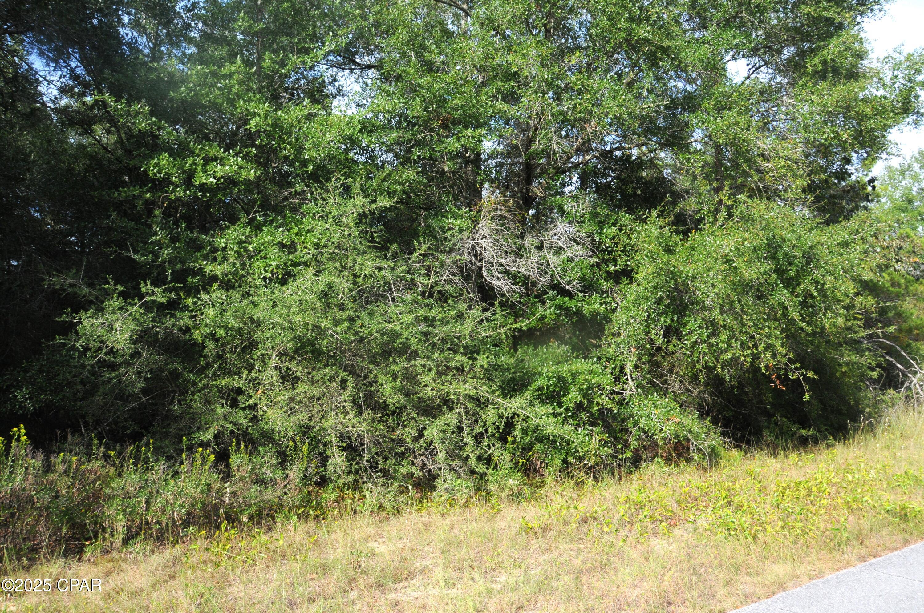 Sunny Hills Unit 1 - Land