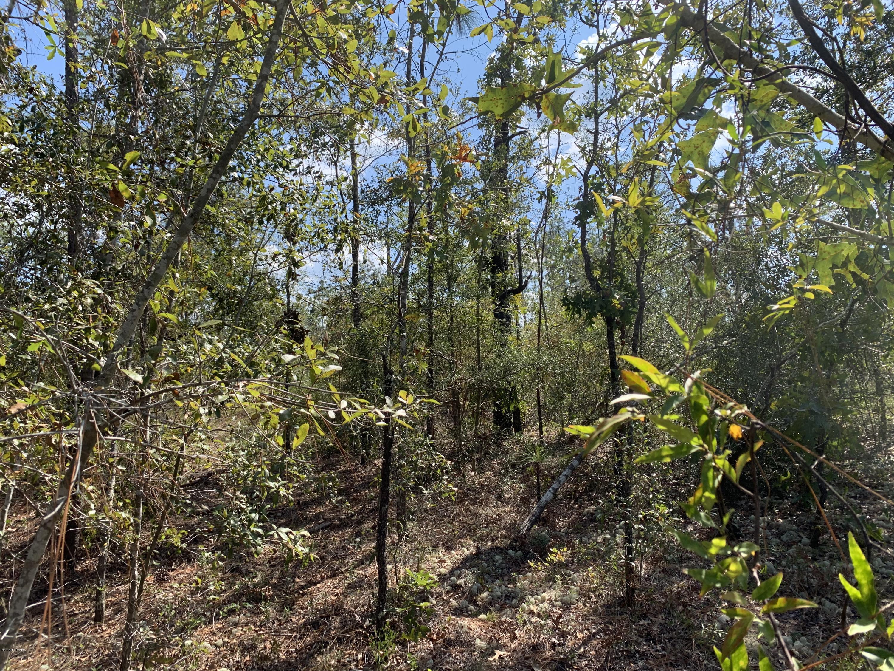 No Named Subdivision - Land