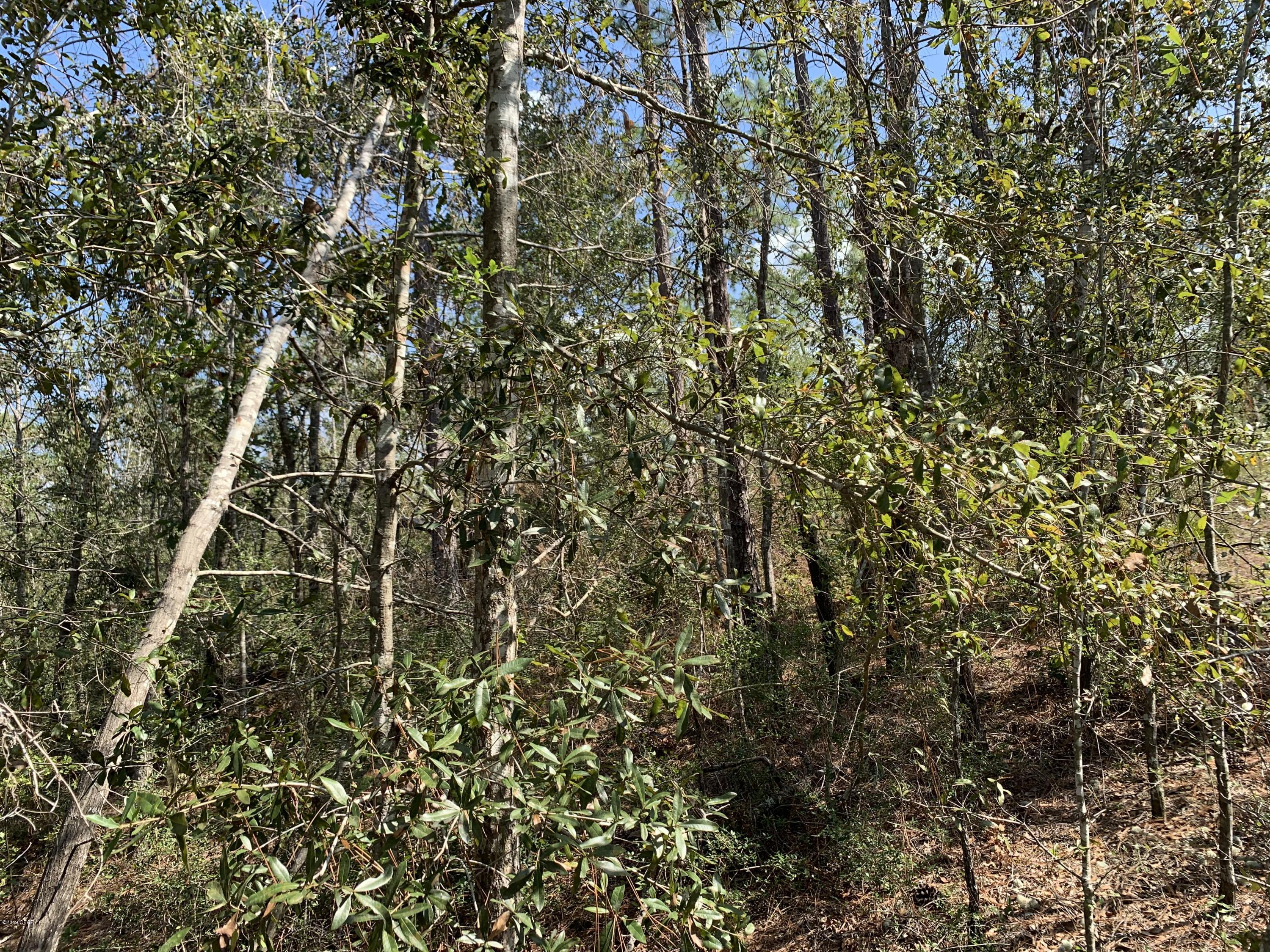 No Named Subdivision - Land